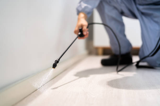 Flea Control Services in Crockett, TX
