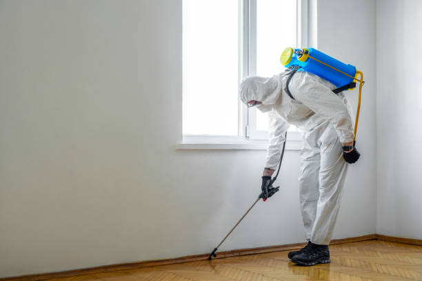 Best Rat Extermination Near Me  in Crockett, TX