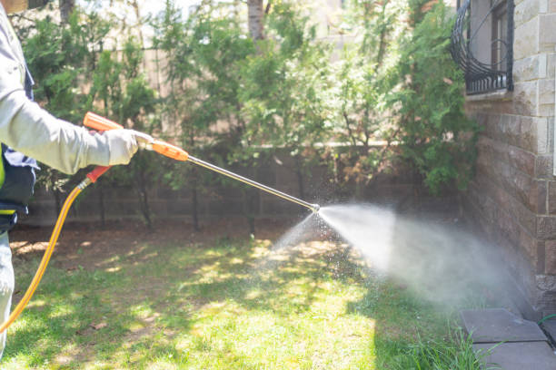 Best Affordable Pest Control Services  in Crockett, TX